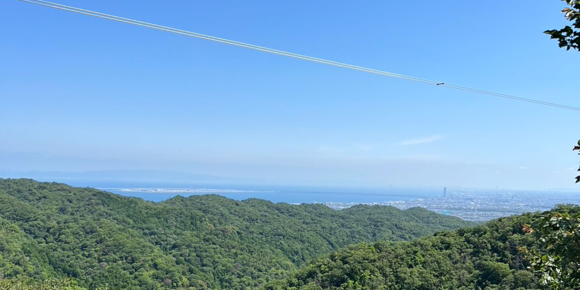 河内林業