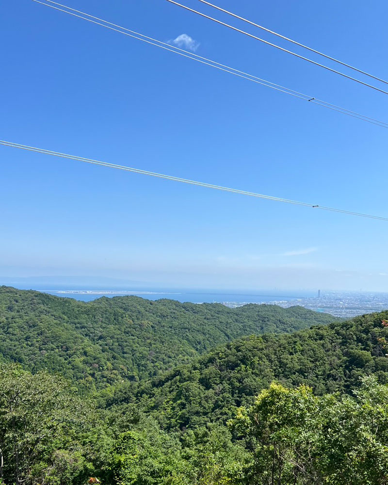 河内林業